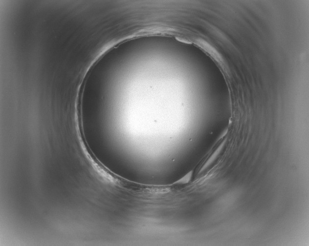 X0000071951055200607212221