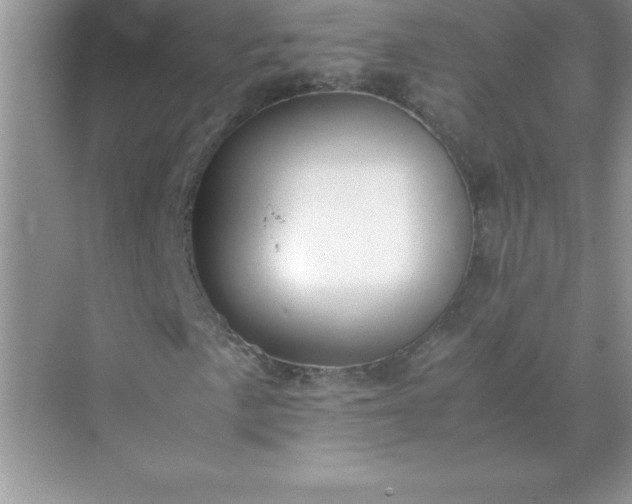 X0000071951057200607212221