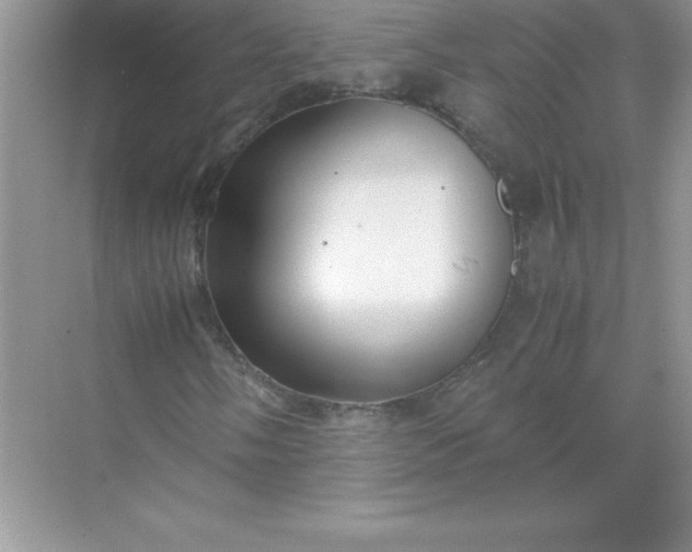 X0000071951058200607212221