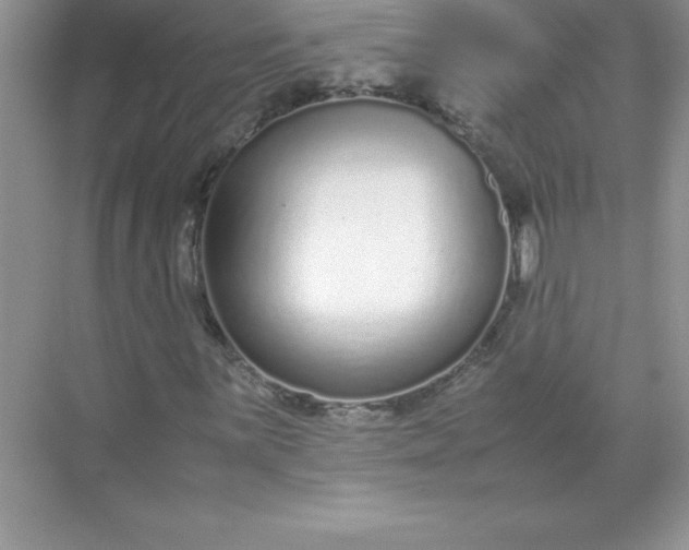 X0000071951059200607212221