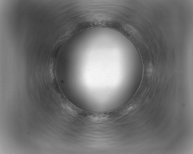 X0000071951060200607212221