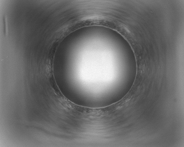 X0000071951062200607212220