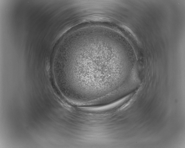 X0000071951065200607212220