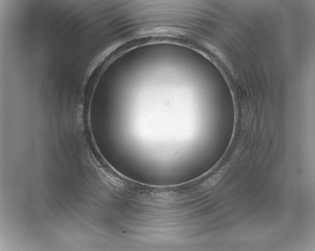 X0000071951066200607212220