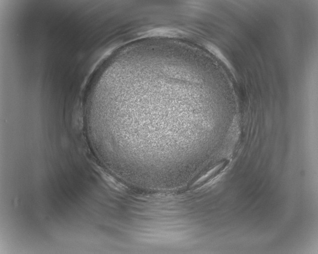 X0000071951067200607212220