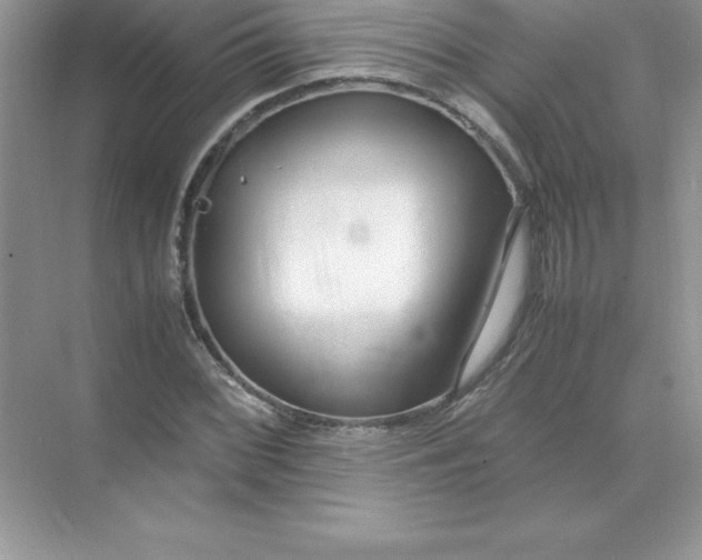 X0000071951068200607212220