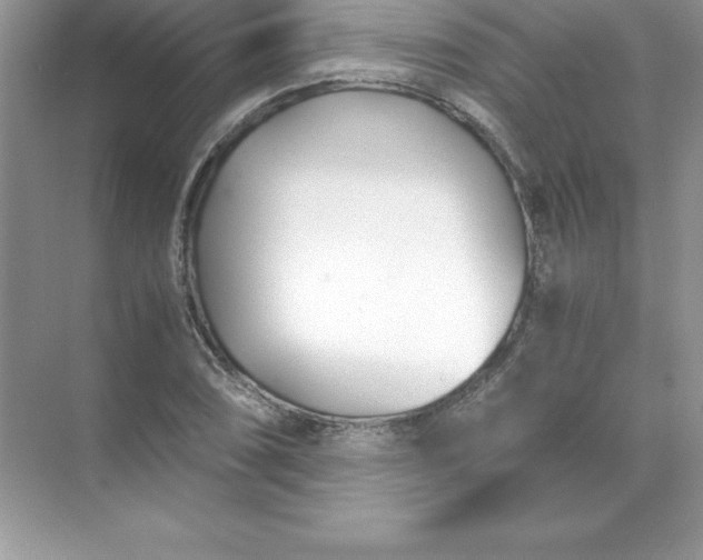 X0000071951074200607212220