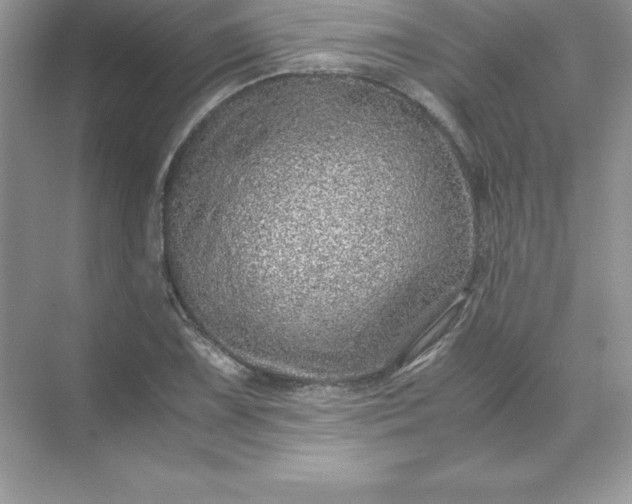 X0000071951075200607212220