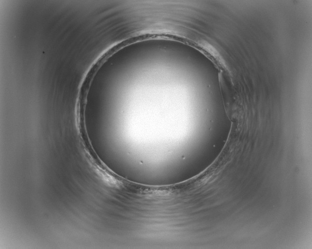 X0000071951076200607212220