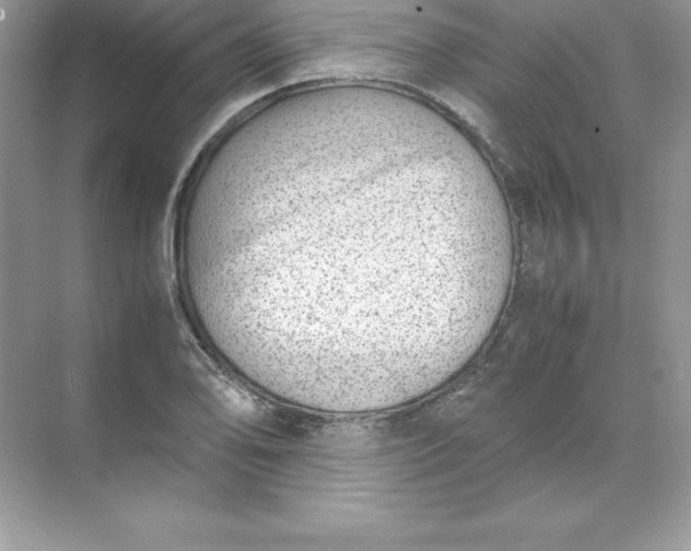 X0000071951078200607212220