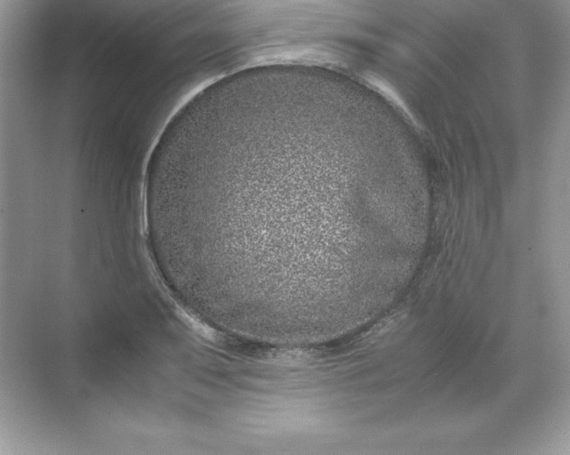 X0000071951079200607212220