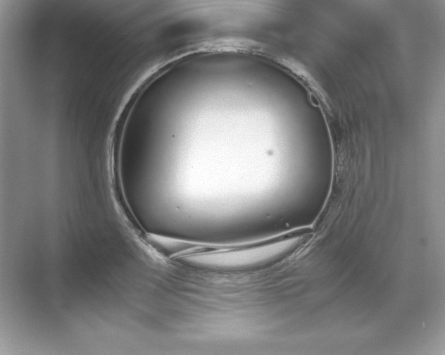 X0000071951083200607212220