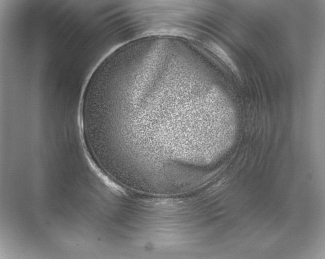 X0000071951084200607212220