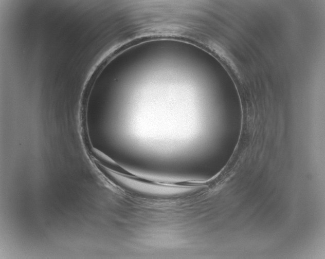 X0000071951085200607212220