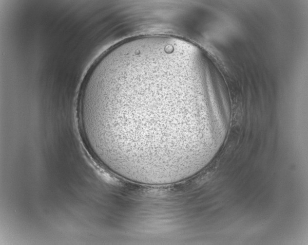 X0000071951086200607212220