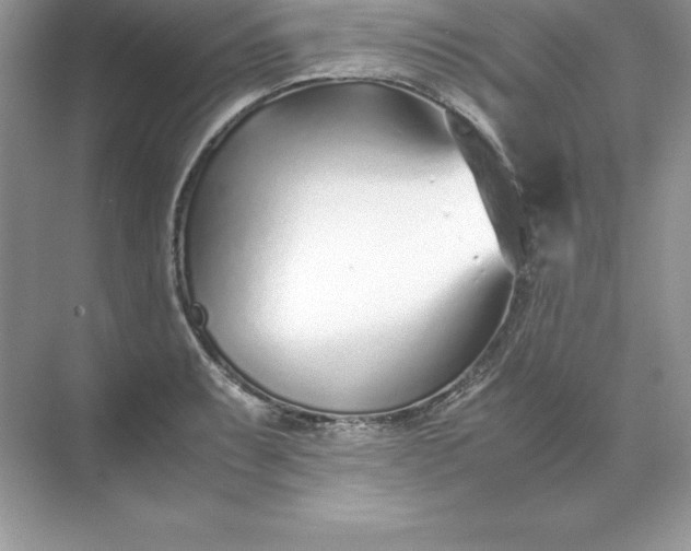 X0000071951087200607212220