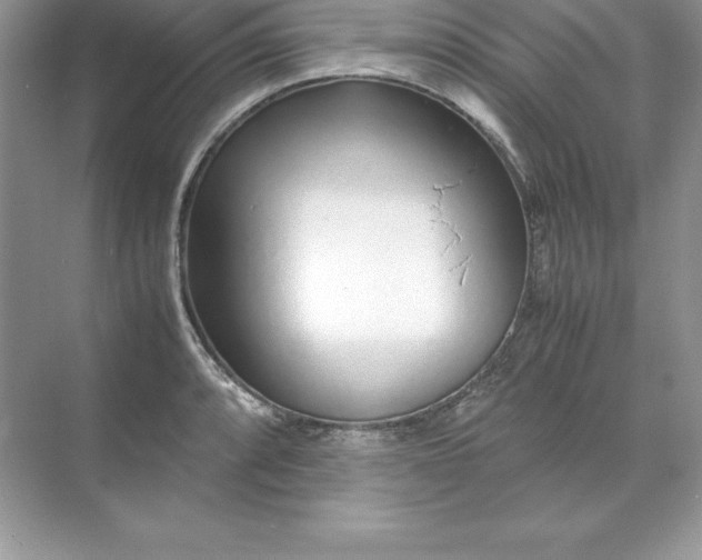 X0000071951088200607212220