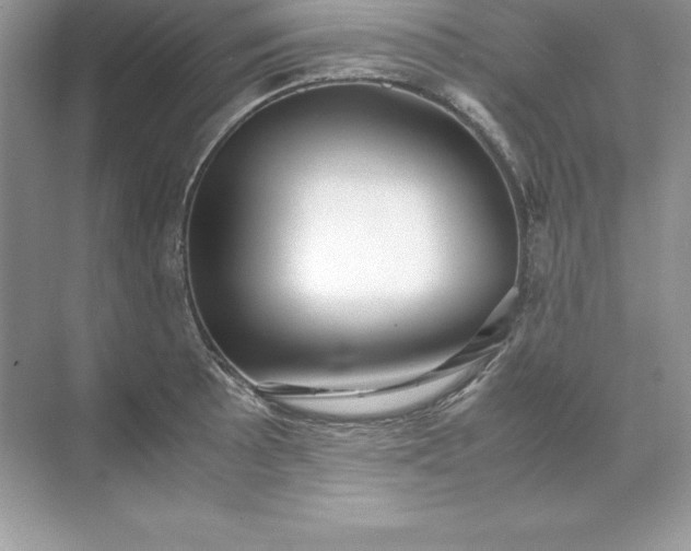 X0000071951089200607212220