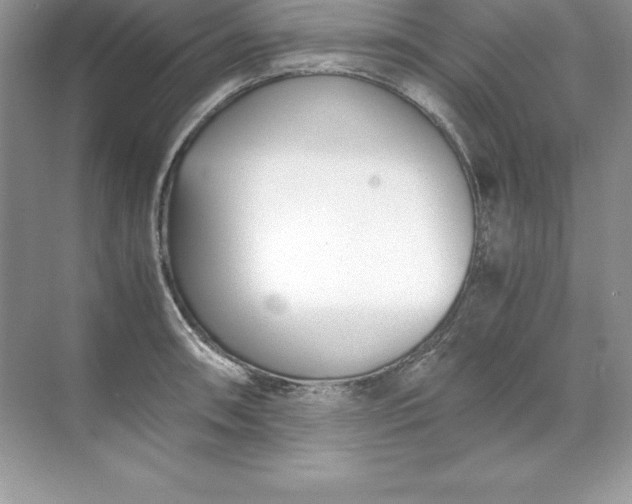 X0000071951090200607212220