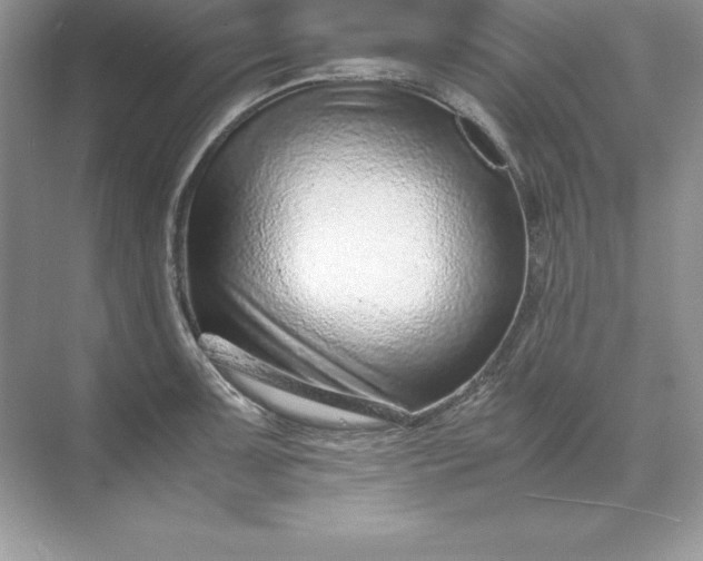 X0000071951091200607212220