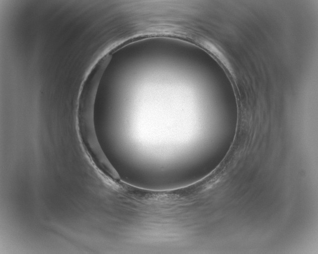 X0000071951093200607212220