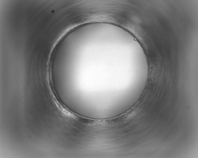 X0000071951094200607212220