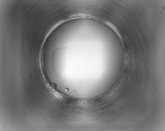 X0000071951098200607212220