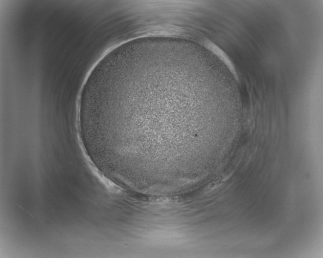 X0000071951099200607212220