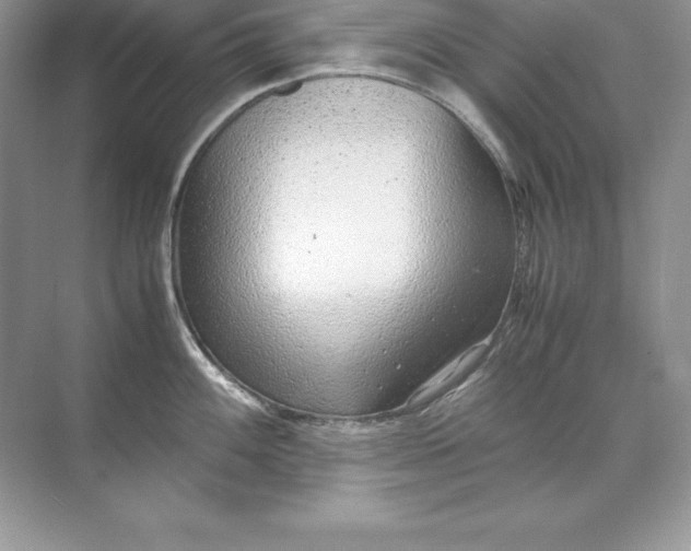 X0000071951100200607212220