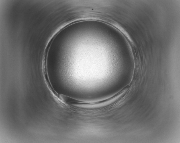 X0000071951101200607212220