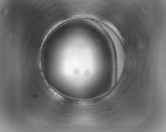 X0000071951102200607212220