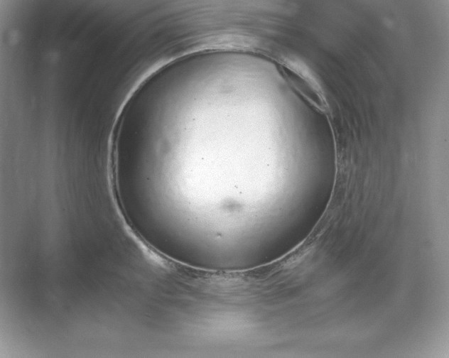 X0000071951103200607212220