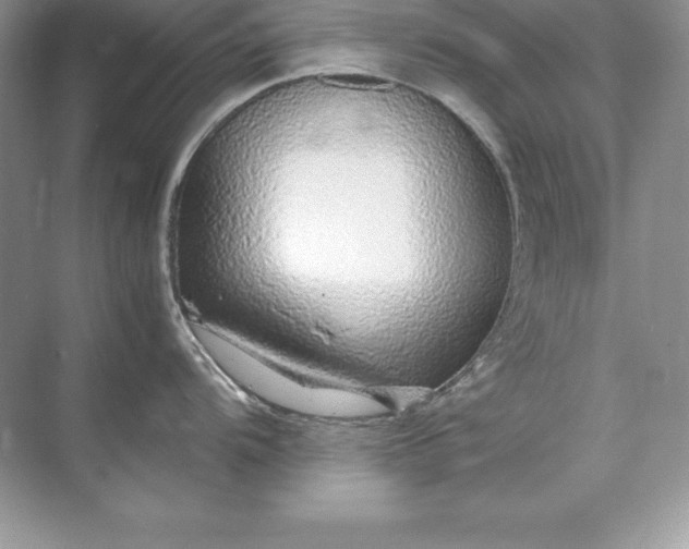 X0000071951104200607212220