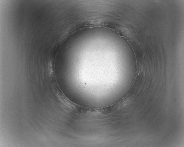 X0000071951106200607212219