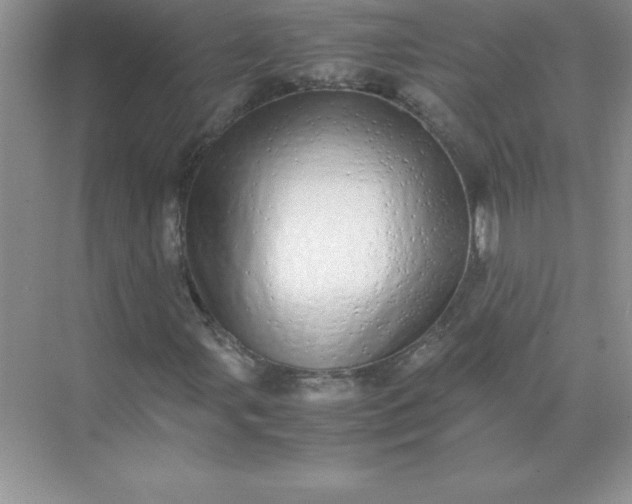 X0000071951107200607212219