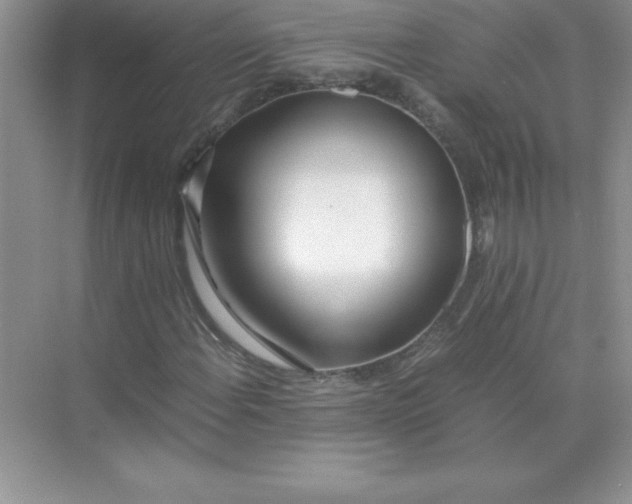 X0000071951108200607212219