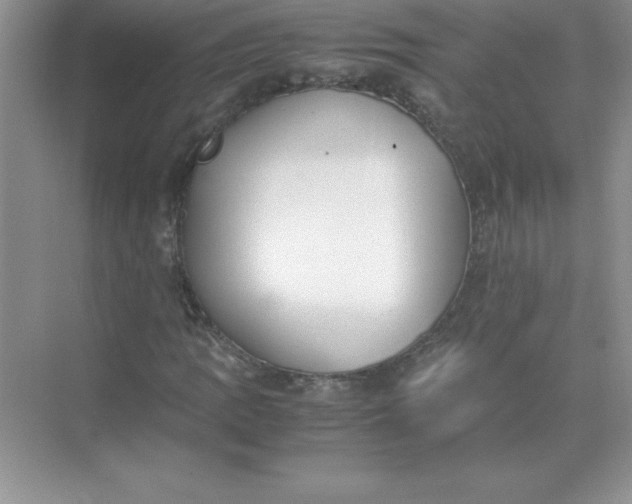 X0000071951109200607212219