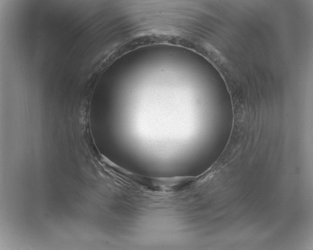 X0000071951110200607212219