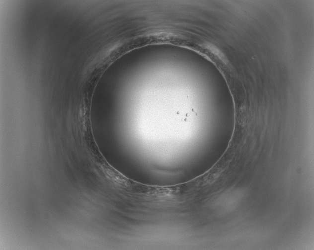 X0000071951111200607212219