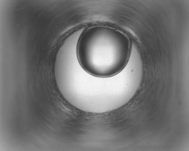 X0000071951112200607212219