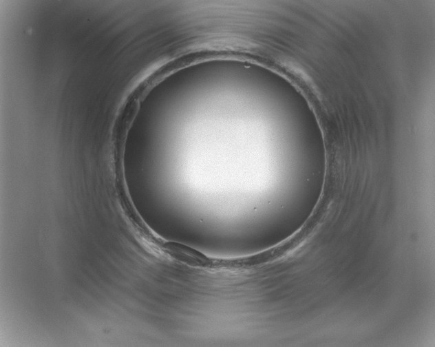 X0000071951114200607212219