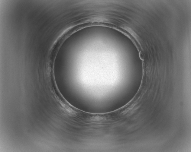 X0000071951115200607212219