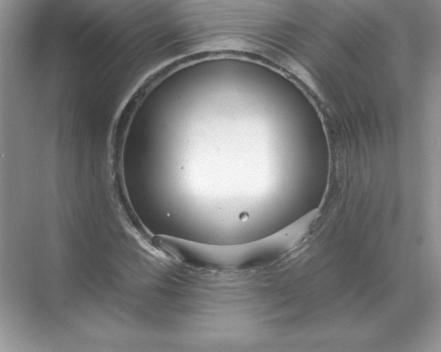 X0000071951116200607212219