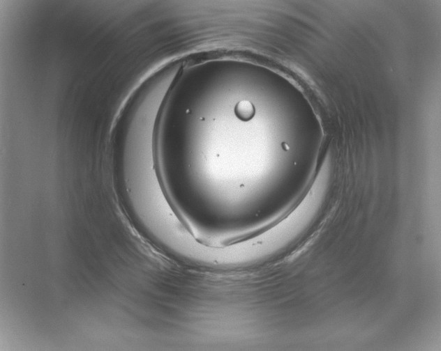 X0000071951118200607212219