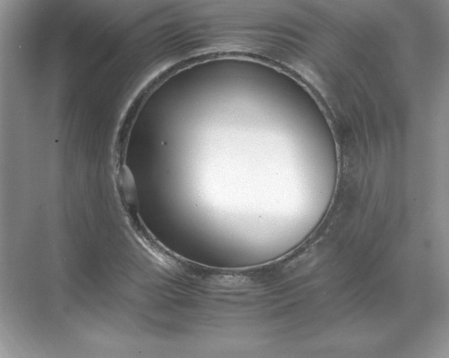 X0000071951119200607212219