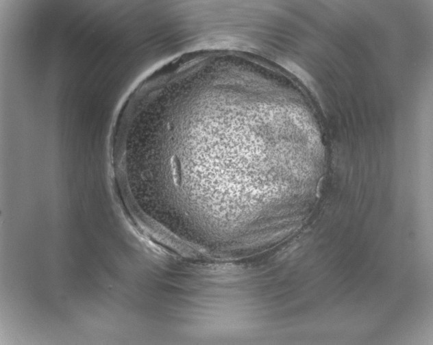 X0000071951120200607212219