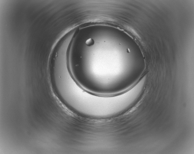 X0000071951122200607212219