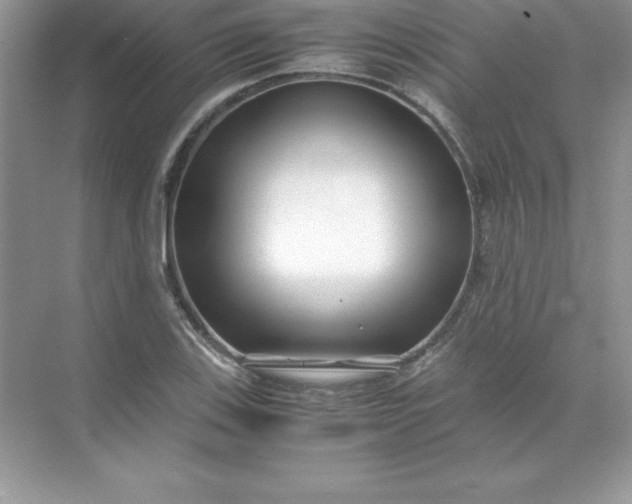 X0000071951123200607212219