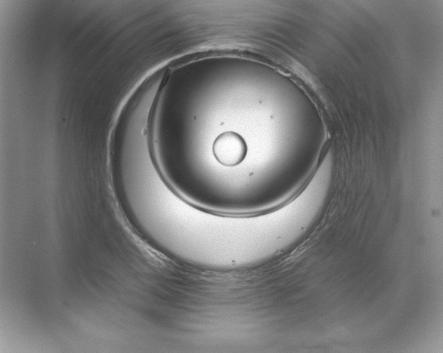 X0000071951124200607212219