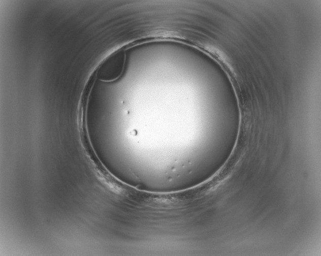 X0000071951125200607212219